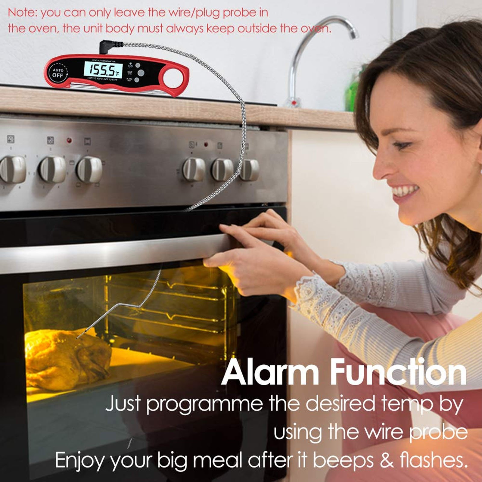 Termometer Daging Digital 2 Pr - Meat Thermometer ulasan dan harga