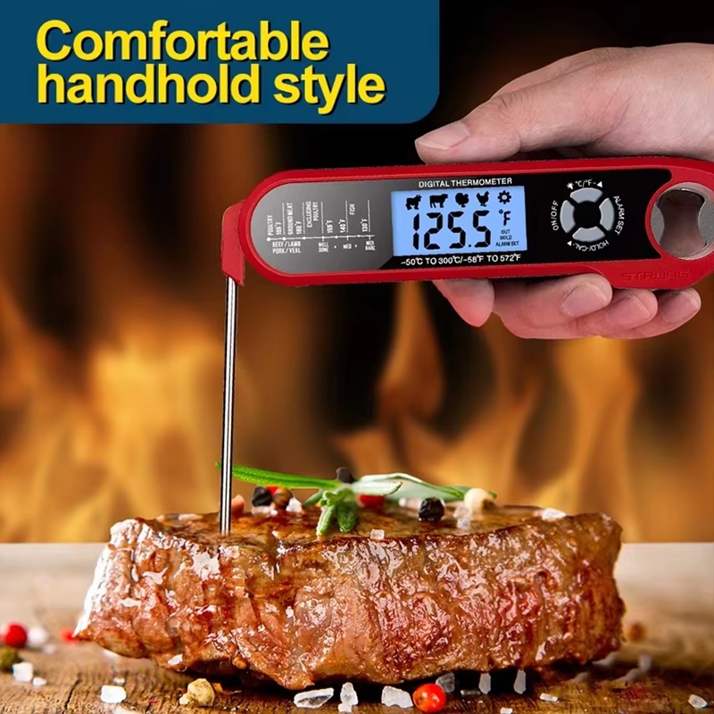 Termometer Daging Digital Dual - Meat Thermometer ulasan dan harga